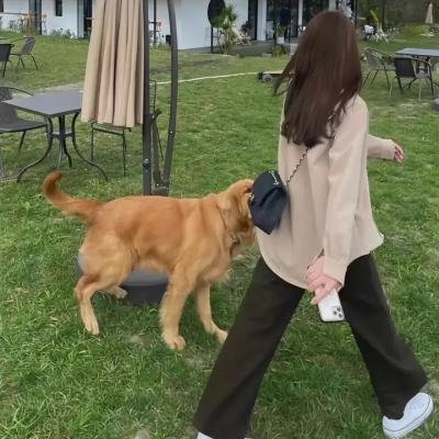 嘉莉妹妹